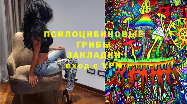 PSILOCYBIN Медногорск