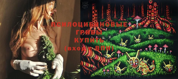 ГАЛЛЮЦИНОГЕННЫЕ ГРИБЫ Магас