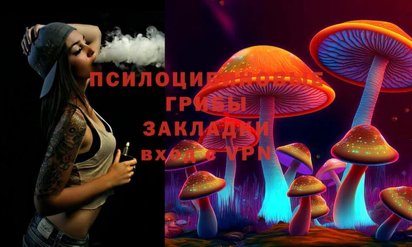 молекула духа Мегион