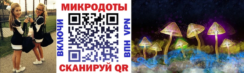 Псилоцибиновые грибы мицелий Усолье